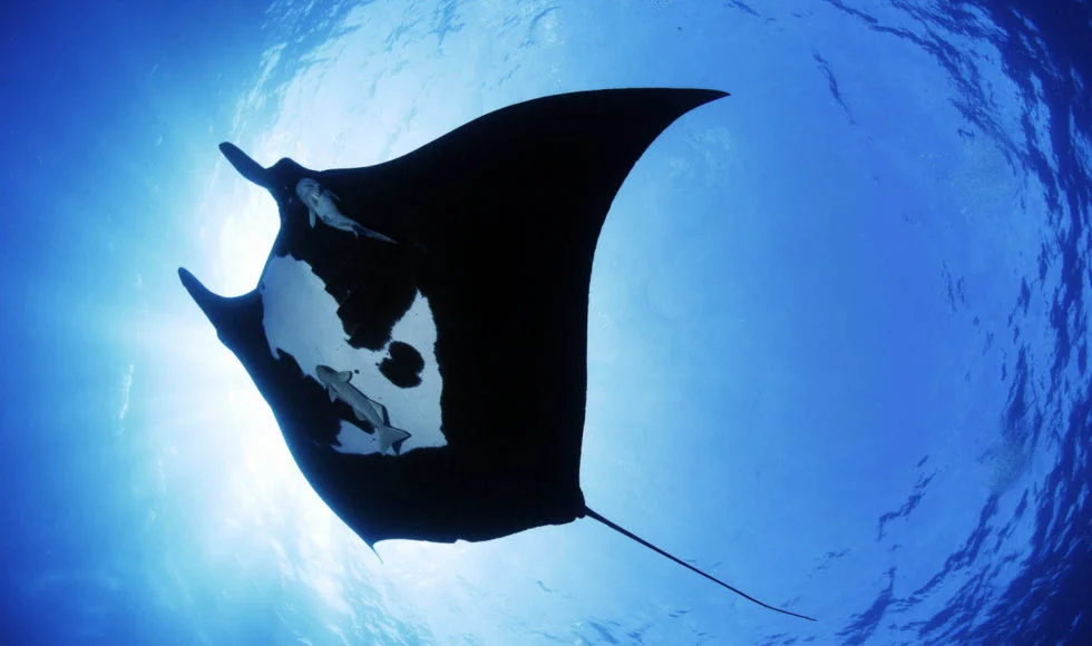 outdoorsy date night