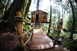 treehouse rental