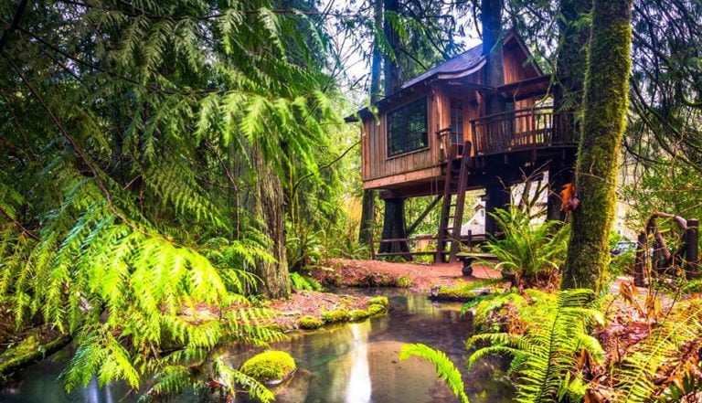 5 Awesome Treehouse Rentals to Climb Into